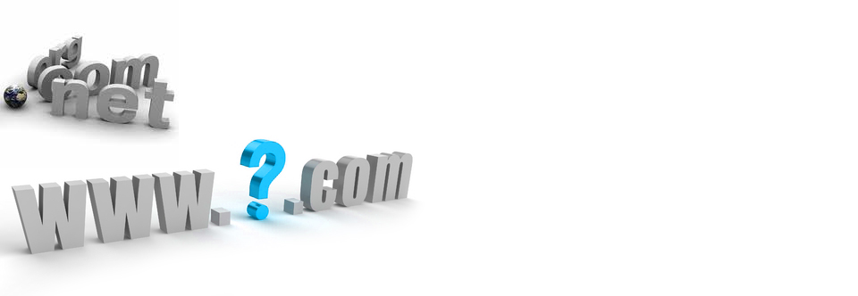 Do you have a Domain Name?