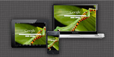 To Hosting Your Site Online