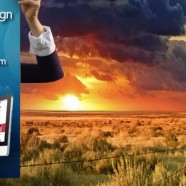 Custom Website Design