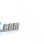 Do you have a Domain Name?